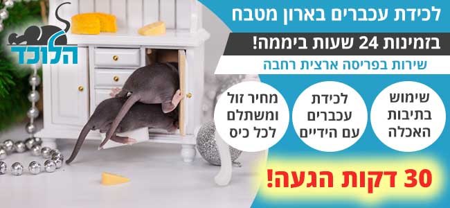 לכידת עכבר בארון מטבח