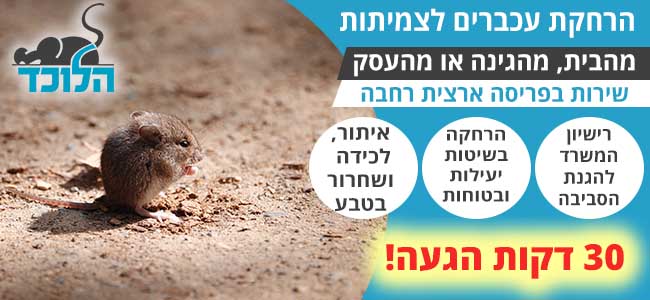 הרחקת עכברים בשיטות יעילות