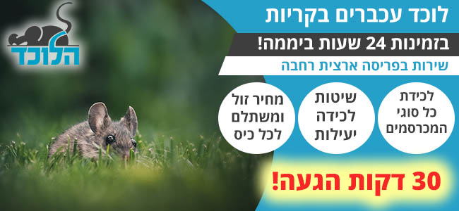 לוכד עכברים בקריות בזמינות 24 שעות