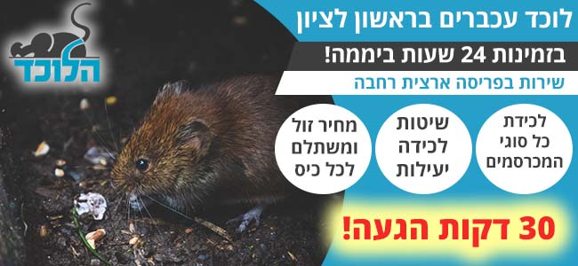 לוכד עכברים בראשון לציון מומלץ ומוסמך