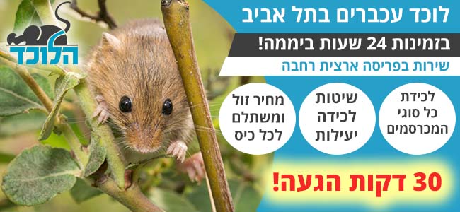 לוכד עכברים בתל אביב שזמין 24 שעות