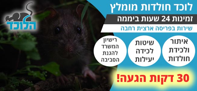 לוכד חולדות מוסמך ומנוסה