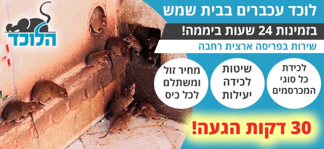 לוכד עכברים בבית שמש 24 שעות ביממה