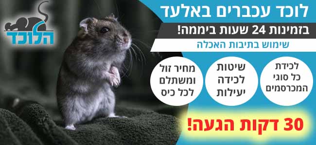 לוכד עכברים באלעד בזמינות מיידית