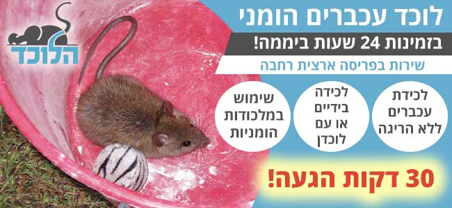 לוכד עכברים הומני