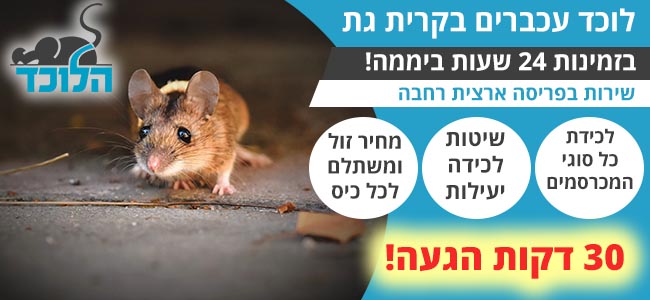 לוכד עכברים בקרית גת מעכשיו לעכשיו