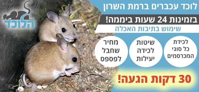 לוכד עכברים ברמת השרון