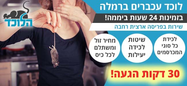 לוכד עכברים ברמלה בזמינות מיידית