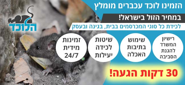 מחירון לכידת עכברים וחולדות