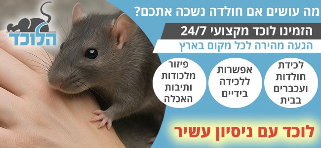 נשיכת חולדה