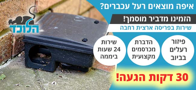 רעל עכברים וחולדות להדברה יעילה