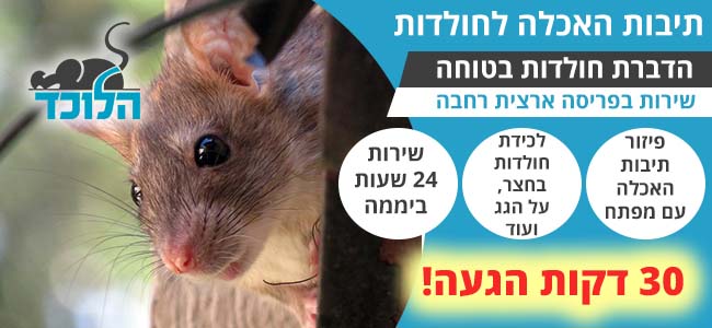 תיבות האכלה לחולדות